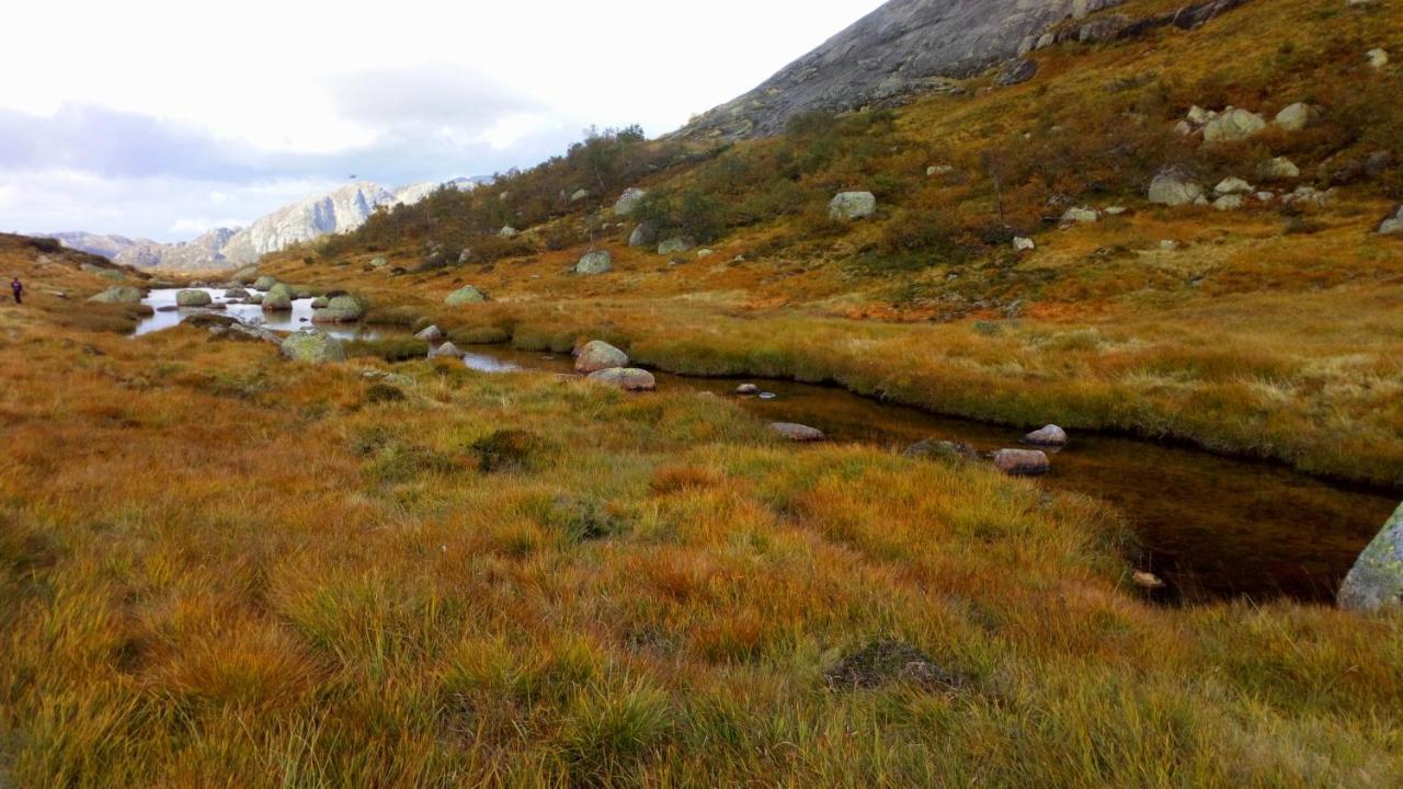 Sirdal Hoyfjellshotell Fidjeland Kültér fotó